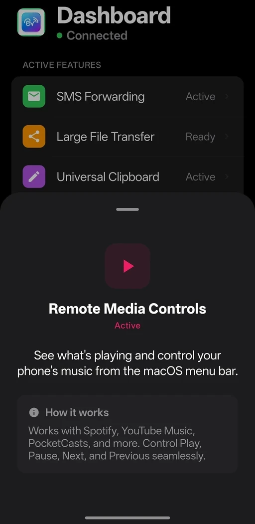 Remote Media Controls